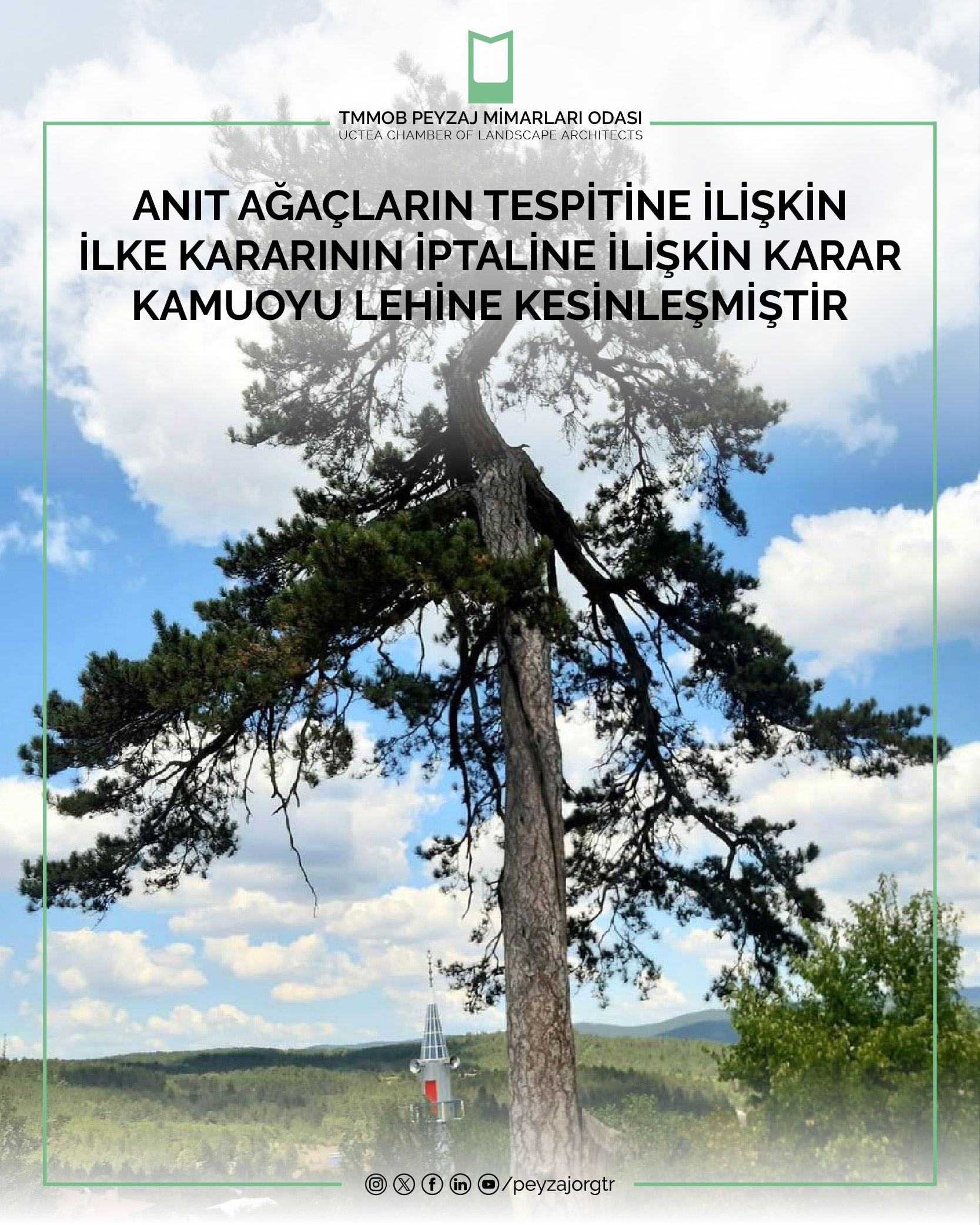 HUKUK |  ANIT AĞAÇLARIN TESPİTİNE İLİŞKİN İLKE KARARININ İPTALİNE İLİŞKİN KARAR KAMUOYU LEHİNE KESİNLEŞMİŞTİR