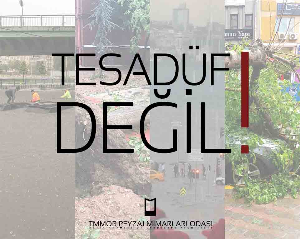 TESADÜF DEĞİL!