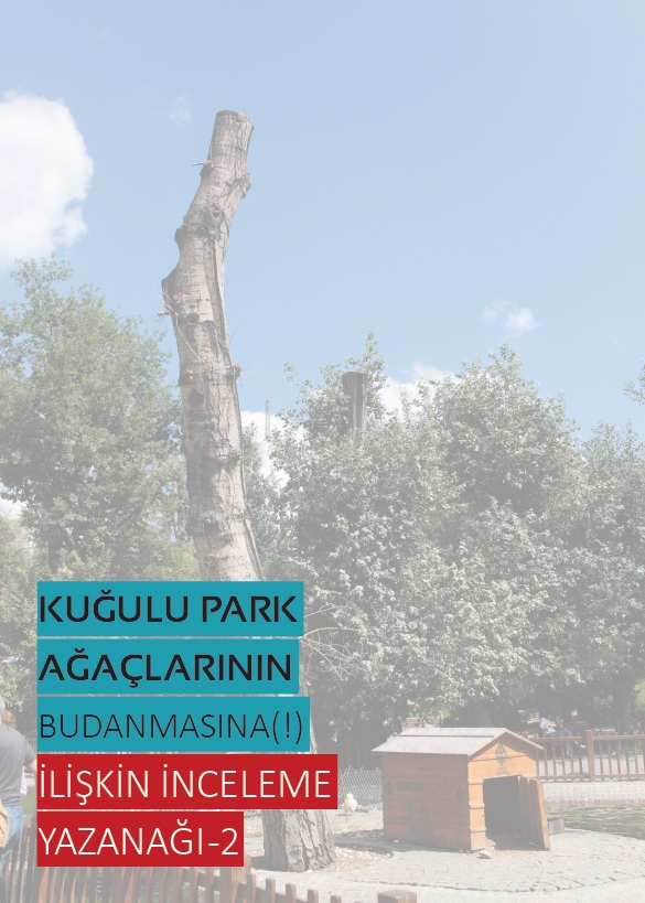 KUĞULU PARK AĞAÇLARININ BUDANMASINA İLİŞKİN İNCELEME YAZANAĞI - 2